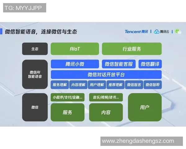 刘军畅谈王者荣耀职业生涯与游戏发展历程的深度对话